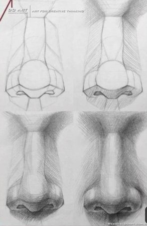 Нос Давида построение анфас