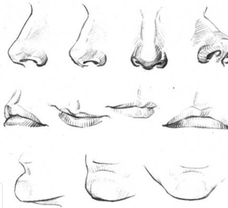 Нос скетч карандашом