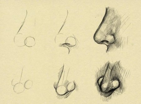 Уроки рисования носа карандашом для начинающих