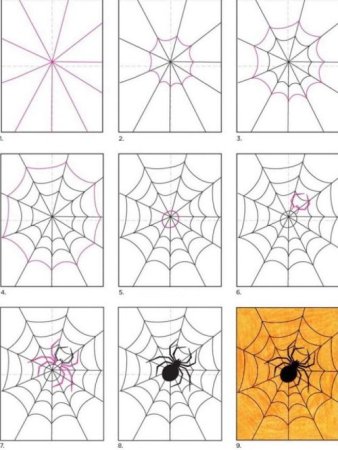 Этапы рисования паутинки