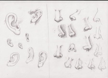 Рисование носа в разных ракурсах