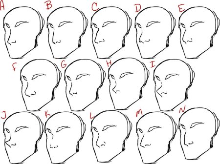 Формы Носов референс