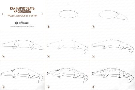Как нарисовать крокодила пошагово