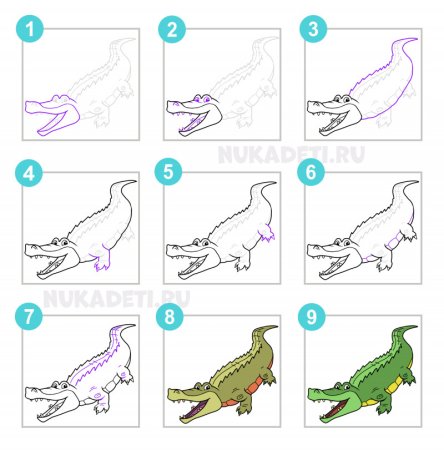 Крокодил рисунок пошагово
