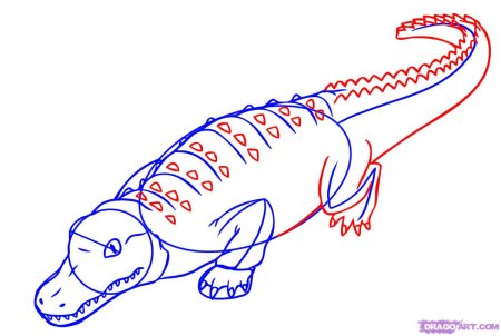 Крокодил рисунок поэтапно (49 фото)