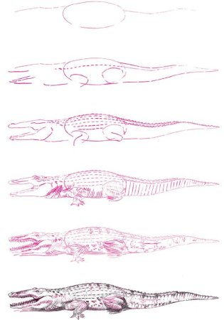 Рисование крокодила с детьми