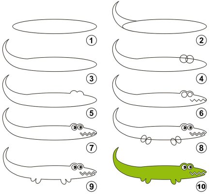 Как нарисовать крокодила легко и просто