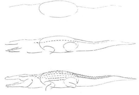 Поэтапное рисование крокодила для дошкольников