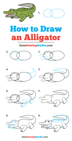 Поэтапное рисование крокодила для детей