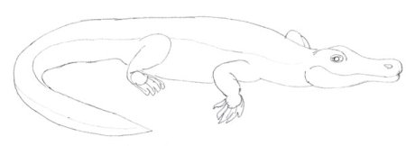 Легкий туториал как нарисовать крокодила