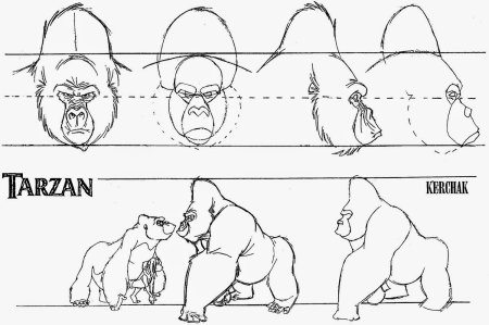 Как нарисовать гориллу (61 фото)
