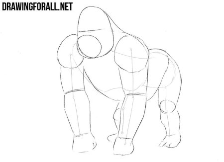 How to draw Gorilla