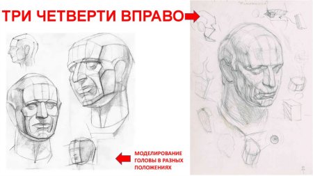 Пропорции головы Гомера
