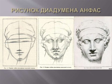 Голова Диадумена Академический рисунок