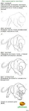 Схема рисования пантеры