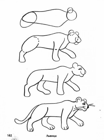 Кот бежит референс