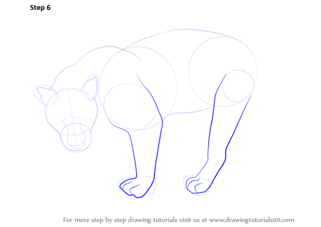 Пантера карандашом для срисовки