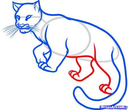 Поэтапное рисование Льва для детей