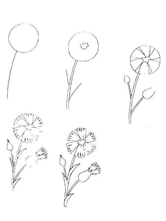 Схема рисования цветов для дошкольников