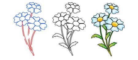 Поэтапное рисование полевых цветов