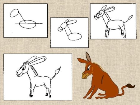 Рисование ослика в старшей группе