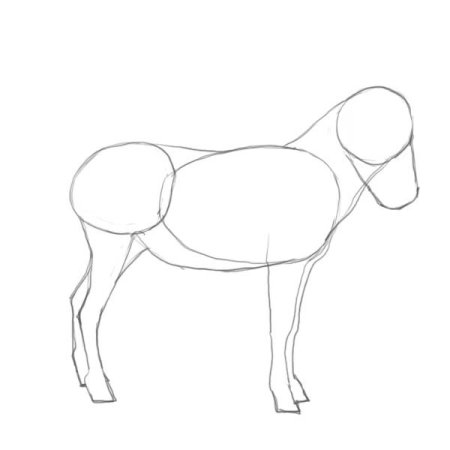 Схема рисования осла