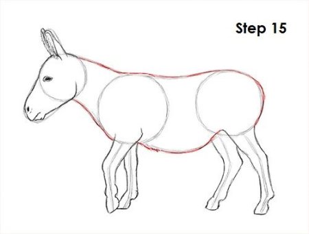 Ослик для рисования