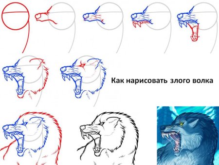 Поэтапное рисование волка