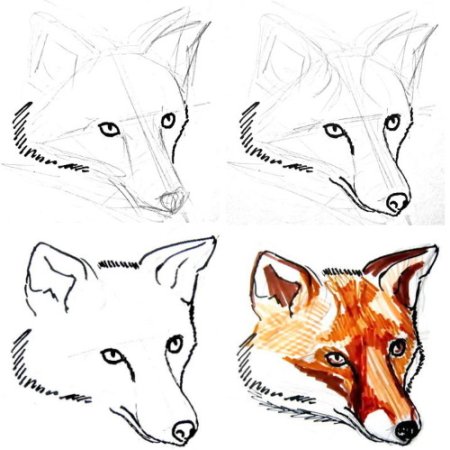 Поэтапное рисование морды лисы