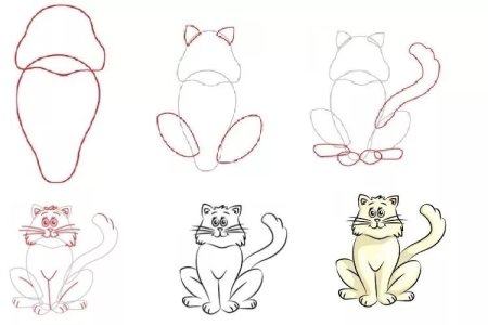 Поэтапное рисование манула для детей