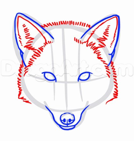 Рисование лисы для дошкольников