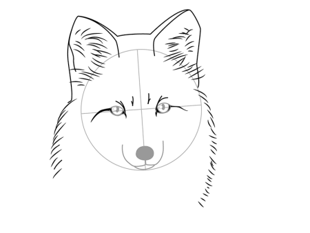 Туториалы по рисованию фурри