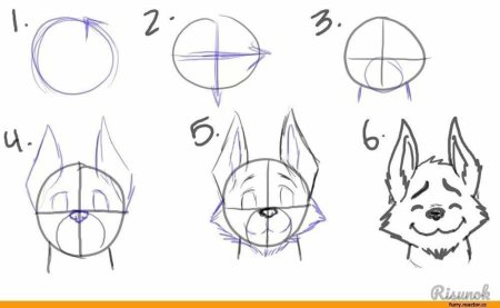 Схема рисования лисички для детей