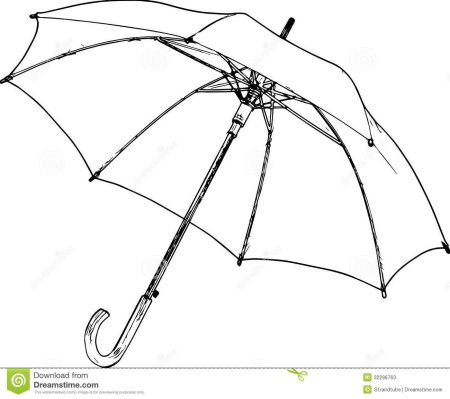 Зонт скетч