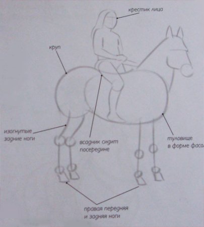 Раскраска лошадь с наездником