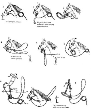 Человек на лошади рисунок