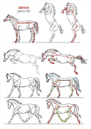 Лошадка в пряжке для раскрашивания