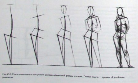 Этапы рисования фигуры человека