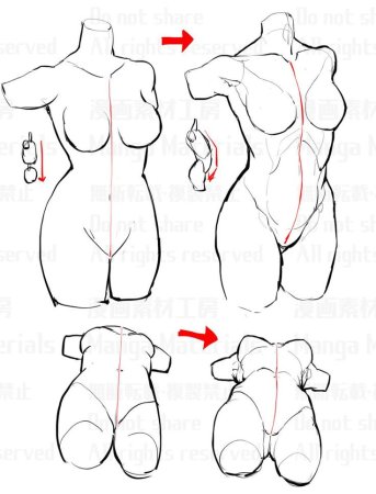 Женское тело для рисования