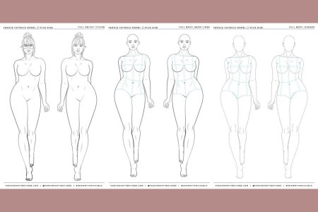 Фигуры полных женщин зарисовки
