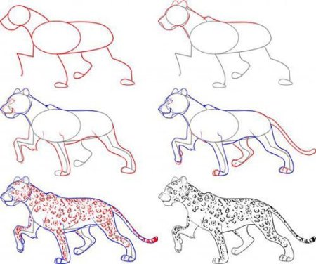 Поэтапное рисование леопарда
