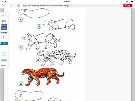 Леопард пошаговое рисование для детей