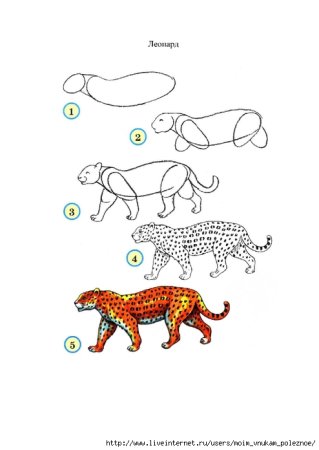 Леопард рисунок для детей поэтапно