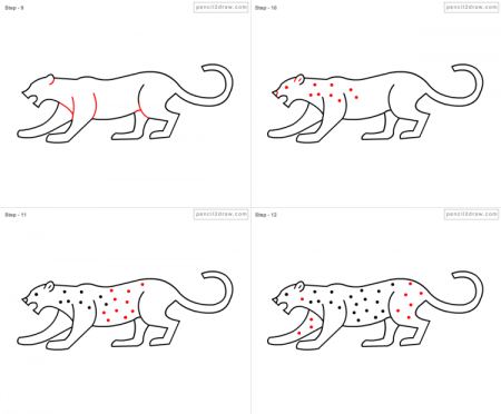 Поэтапное рисование гепарда
