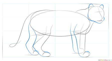 Лёгкие рисунки животных