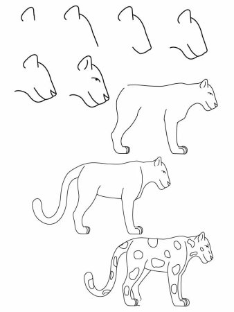 Раскраска гепард