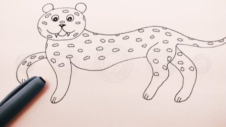 Поэтапное рисование снежного Барса