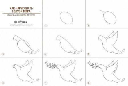 Как нарисовать соловья
