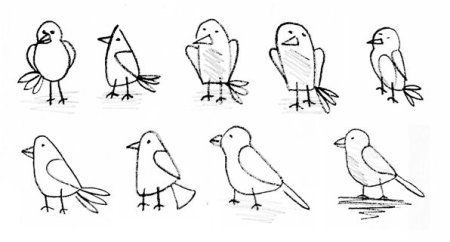 Поэтапное рисование синицы для детей