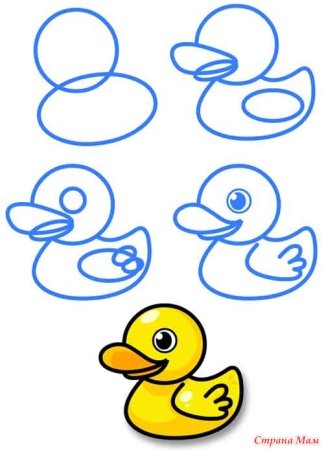 Поэтапное рисование уточки